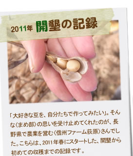 2011�N�@�J���̋L�^����