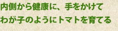 内側から健康に、手をかけてわが子のようにトマトを育てる