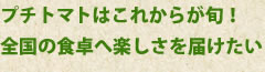 プチトマトはこれからが旬！
全国の食卓へ楽しさを届けたい