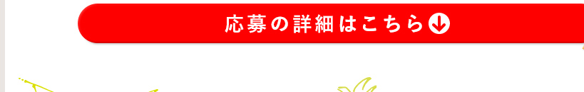 応募の詳細はこちら↓