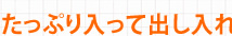 たっぷり入って出し入れしやすい!