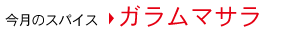 今月のスパイス　ガラムマサラ