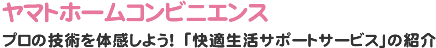 ヤマトホームコンビニエンス プロの技術を体感しよう！ 「快適生活サポートサービス」の紹介