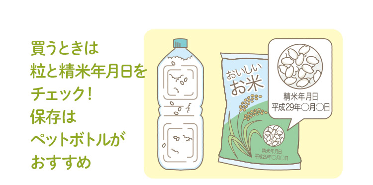 買うときは粒と精米年月日をチェック！　保存はペットボトルがおすすめ