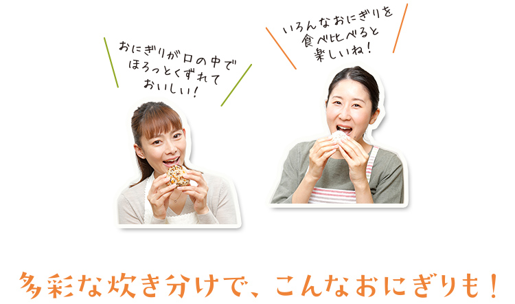 多彩な炊き分けで、こんなおにぎりも！