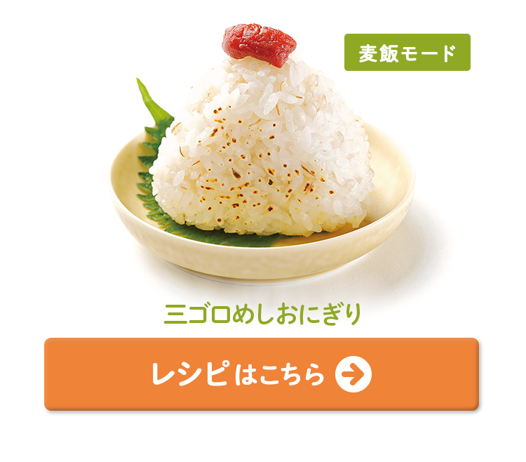 三ゴロめしおにぎり