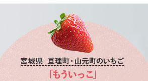 宮城県  亘理町・山元町のいちご「もういっこ」