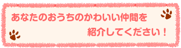 あなたのおうちのかわいい仲間を紹介してください！