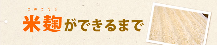 k米麹ができるまで