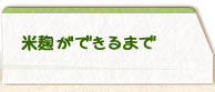 米麹ができるまで