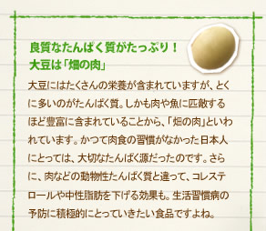 大豆にはたくさんの栄養が含まれていますが、とくに多いのがたんぱく質。しかも肉や魚に匹敵するほど豊富に含まれていることから、「畑の肉」といわれています。かつて肉食の習慣がなかった日本人にとっては、大切なたんぱく源だったのです。さらに、肉などの動物性たんぱく質と違って、コレステロールや中性脂肪を下げる効果も。生活習慣病の予防に積極的にとっていきたい食品ですよね。
