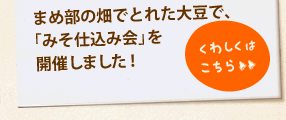 まめ部の畑でとれた大豆で、「みそ仕込み会」を開催しました！＞＞