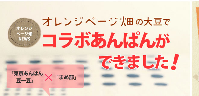 オレンジページ畑の大豆でコラボあんぱんができました！
「東京あんぱん豆一豆」×「まめ部」