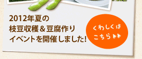 2012年夏の枝豆収穫＆豆腐作りイベントを開催しました！＞＞