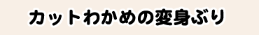カットわかめの変身ぶり