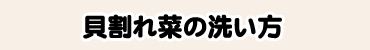 貝割れ菜の洗い方