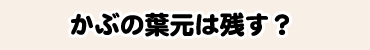 かぶの葉元は残す?