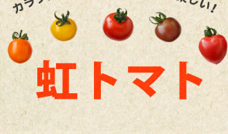 虹トマト