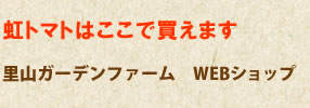 虹トマトはここで買えます:里山ガーデンファーム　WEBショップ