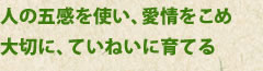 人の五感を使い、愛情をこめ大切に、ていねいに育てる