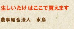 生しいたけはここで買えます:農事組合法人　水鳥