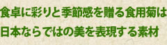 食卓に彩りと季節感を贈る食用菊は日本ならではの美を表現する素材