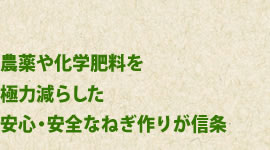 農薬や化学肥料を
極力減らした安心・安全なねぎ作りが信条