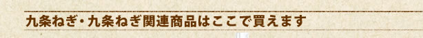 九条ねぎ関連商品はここで買えます