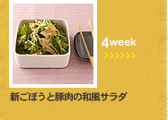 4week;新ごぼうと豚肉の和風サラダ