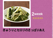 2week;きゅうりとセロリのさっぱりあえ