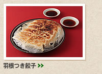 羽根つき餃子＞＞