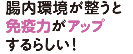 腸内環境が整うと免疫力がアップするらしい！