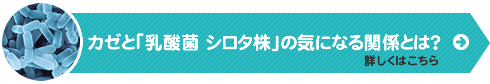 カゼと「乳酸菌 シロタ株」の気になる関係とは？