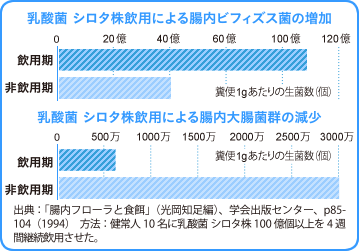 乳酸菌 シロタ株飲用による腸内ビフィズス菌の増加と腸内大腸菌群の減少