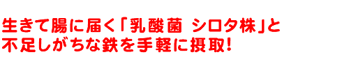 生きて腸に届く「乳酸菌 シロタ株」と不足しがちな鉄を手軽に摂取!