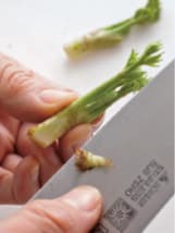 Tip 2