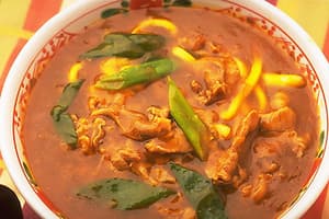 牛肉カレーうどん