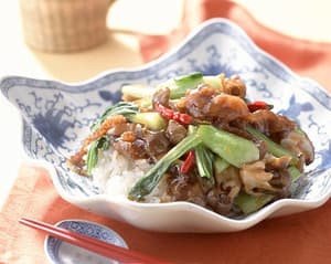 豚肉とねぎたっぷりの炒め丼
