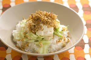 カリカリじゃこ豆腐丼