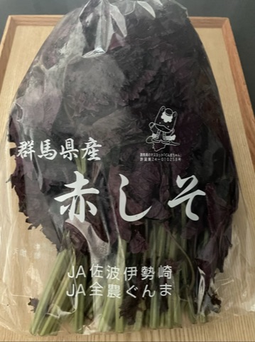 群馬県産赤しそ