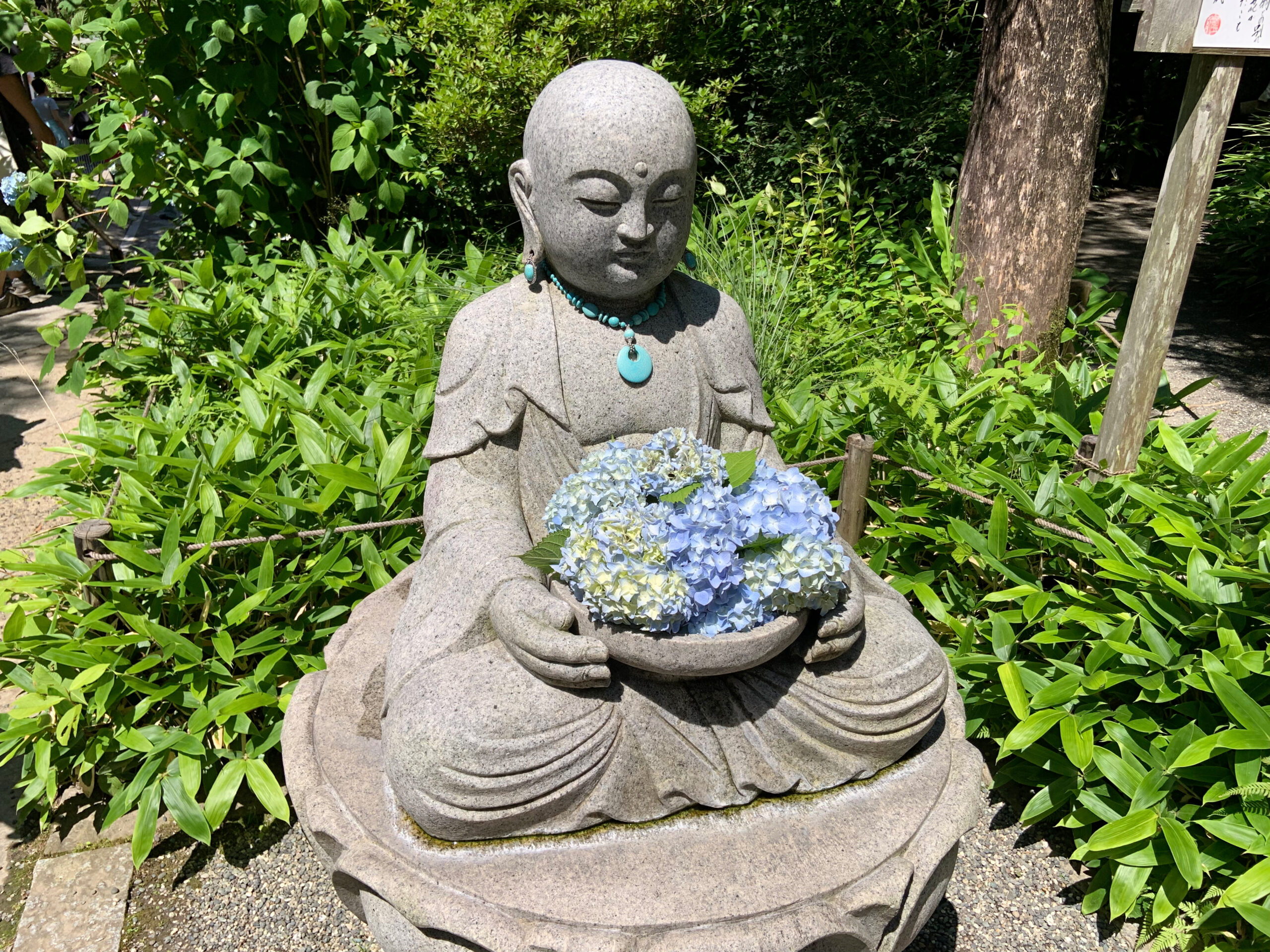 鎌倉で人気のあじさい寺、明月院の紫陽花と地蔵