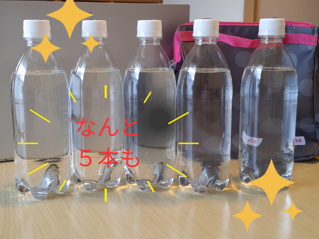 保冷ポーチ