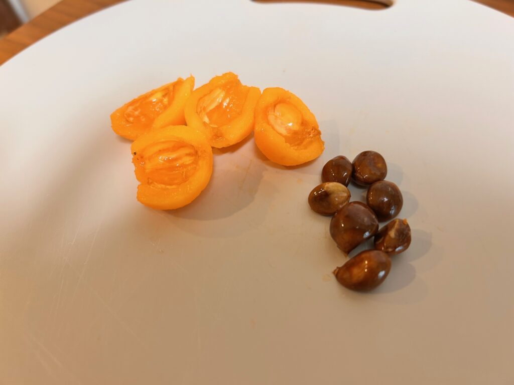 種を取ったびわ