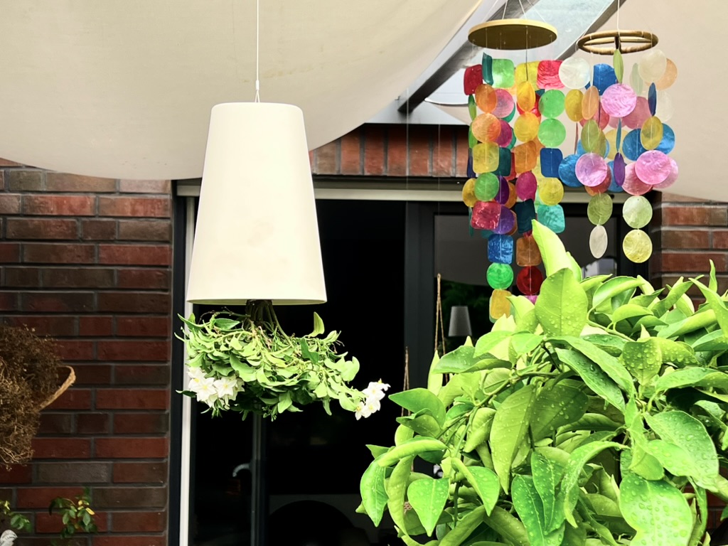 スカイプランター Sky Planter ハンギング