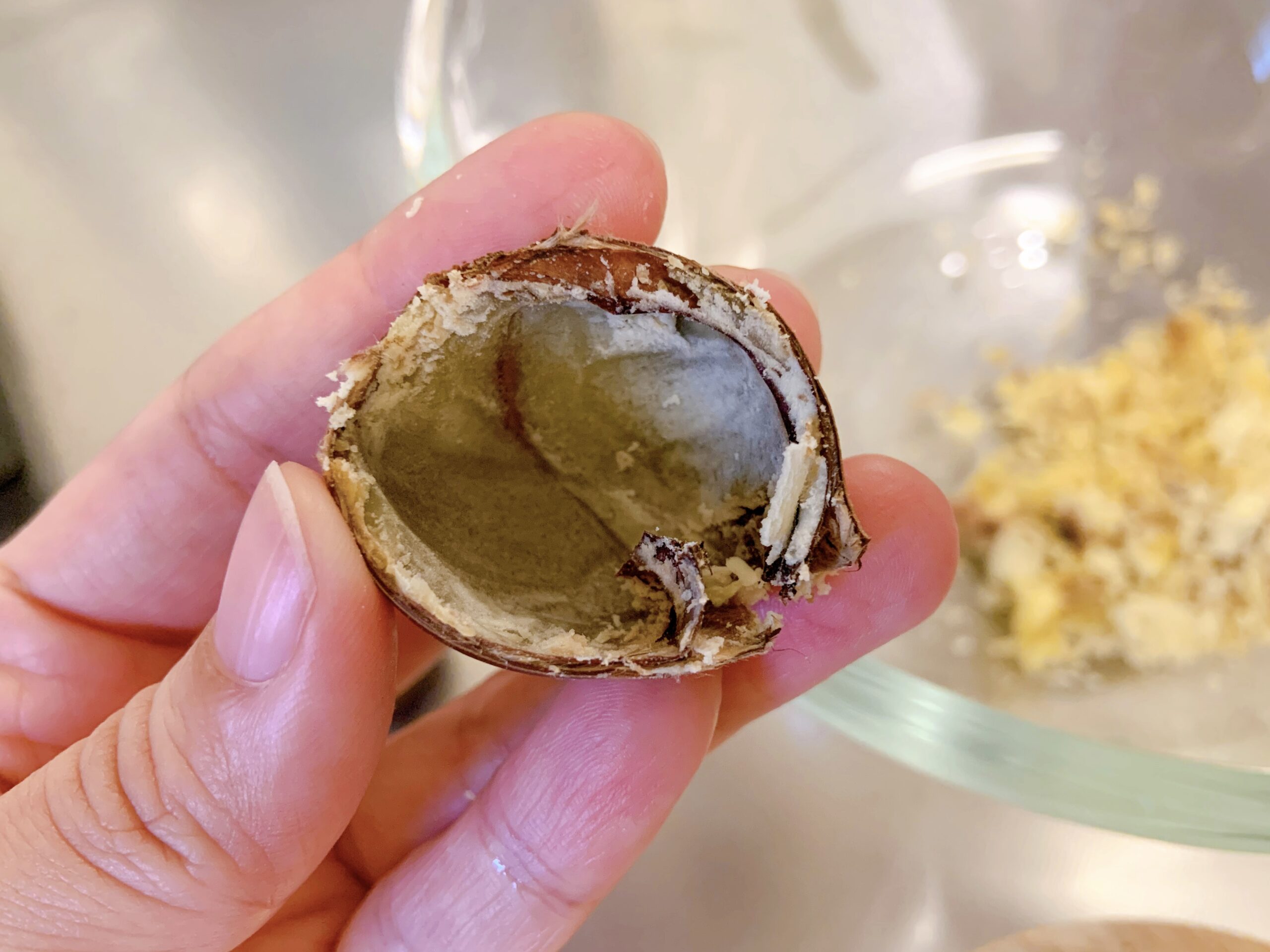 栗きんとんを作るために蒸した栗の中身を取り出したところ