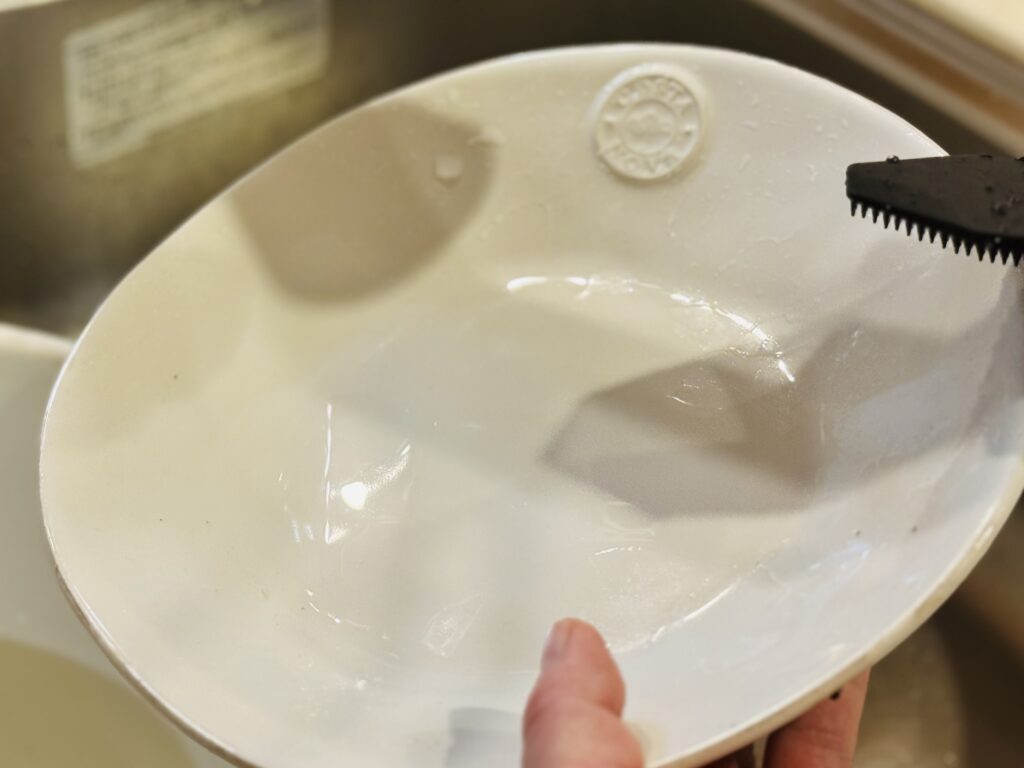 COSTANOVAのパスタ皿
予洗いして綺麗になった写真