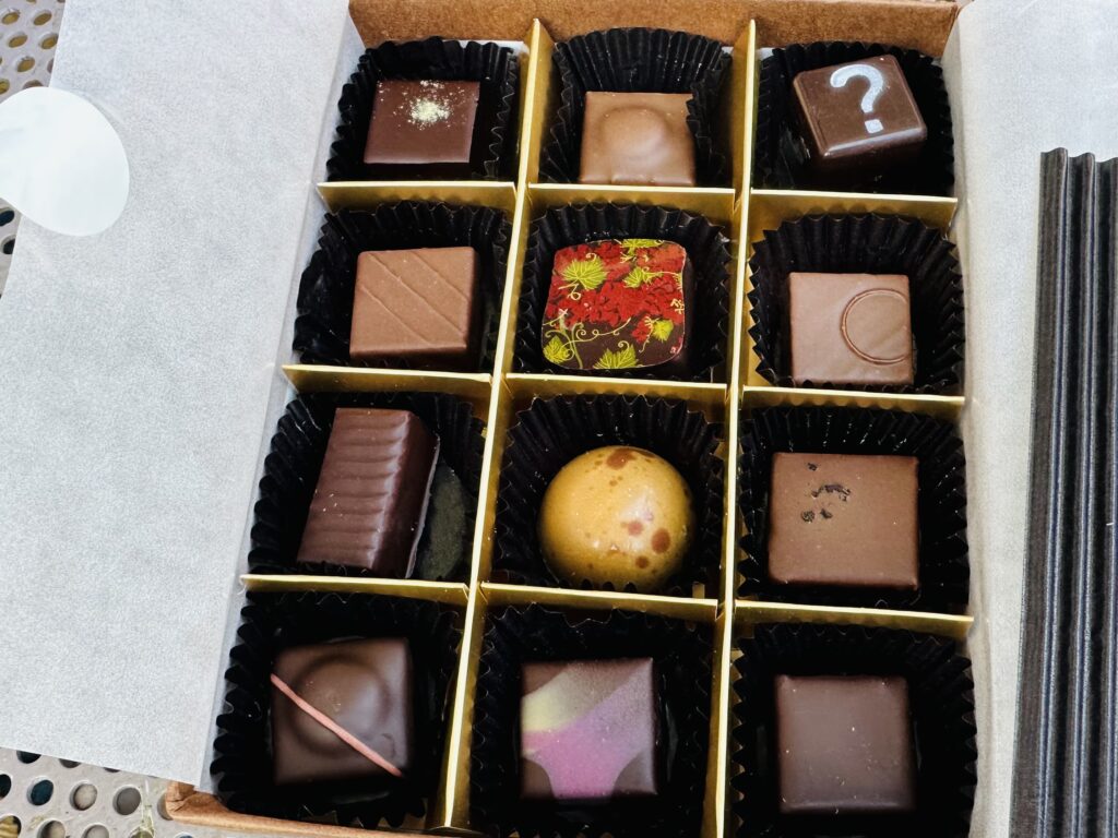 2024年のサロショ
セレクションBOX