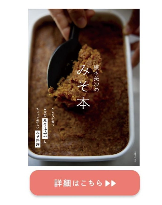 榎本美沙 みそ本