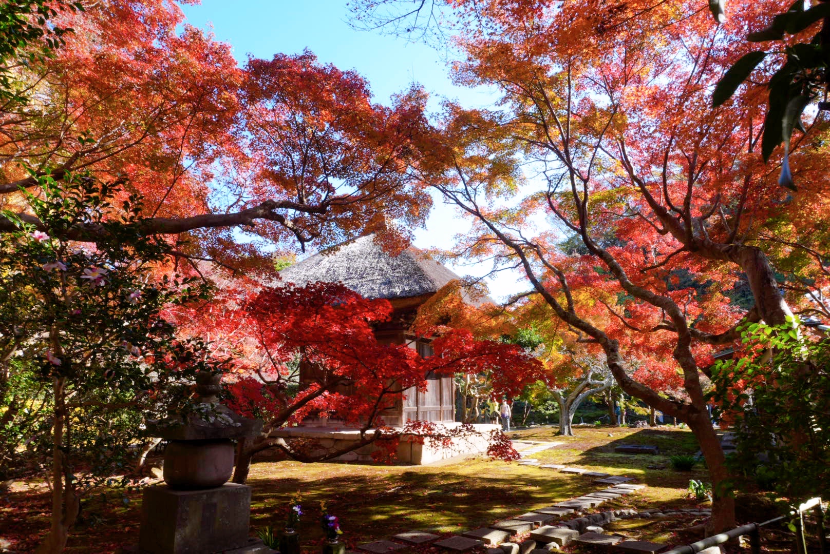 鎌倉・長寿寺の観音堂と紅葉