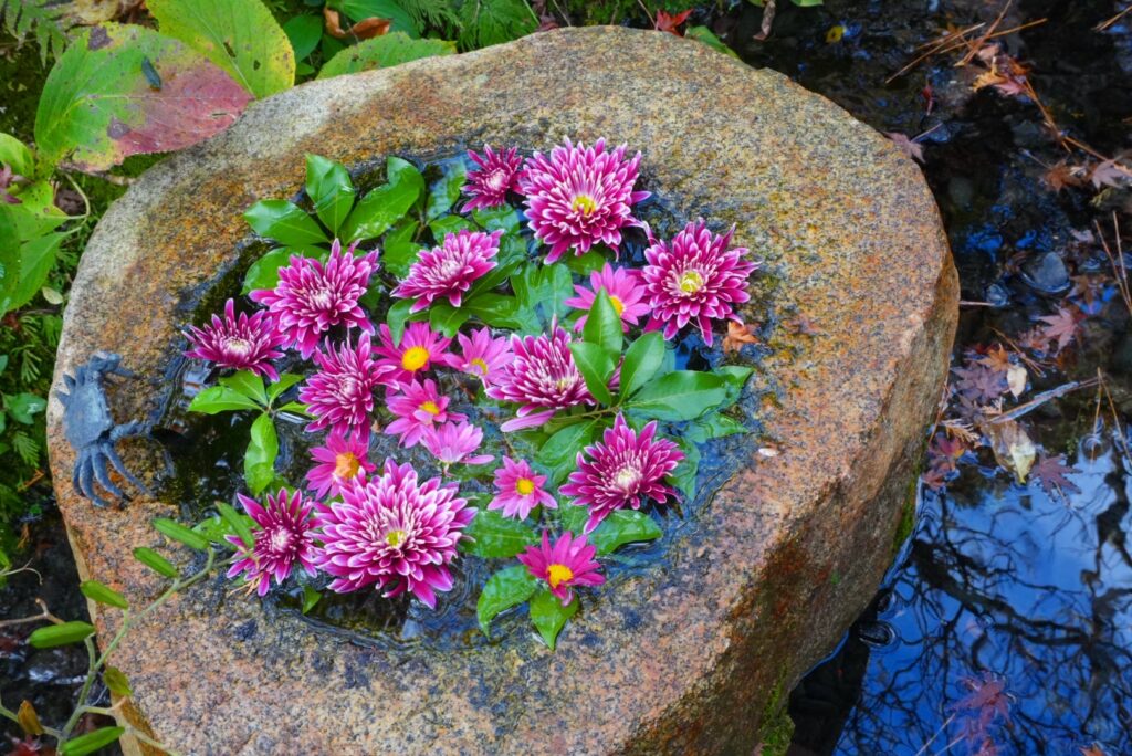 鎌倉「一条恵観山荘」の花手水